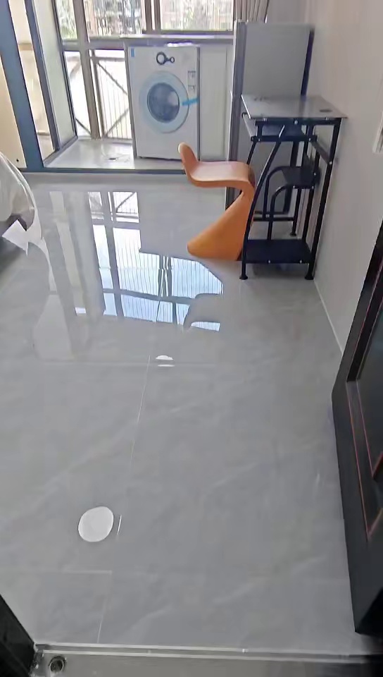 保税区 沙嘴 电梯小区单间3300