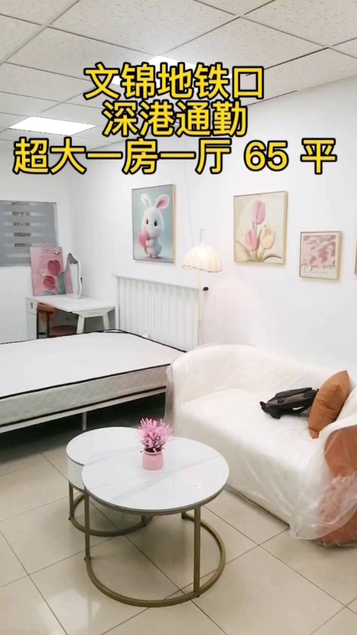 文锦地铁口森威大厦65平超大一房一厅深港通勤