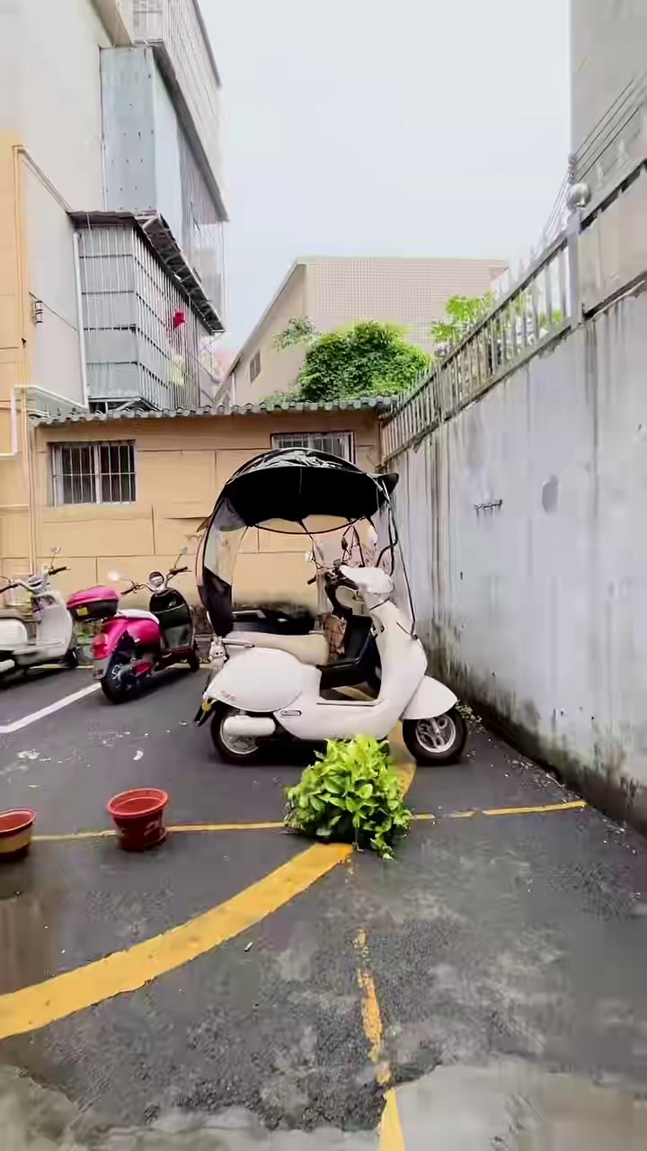 开屏花园大一房一厅40平2000