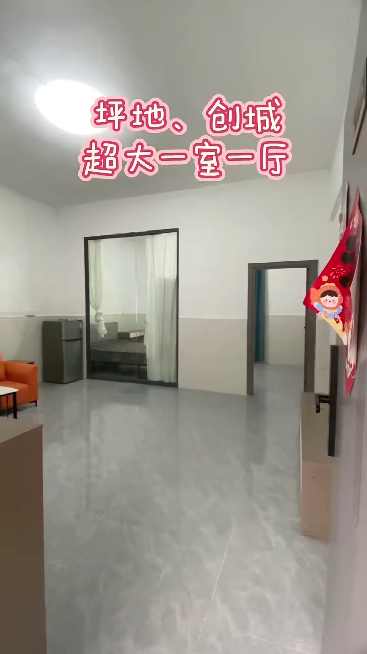 坪地、创城、图书馆附近超大一室一厅
