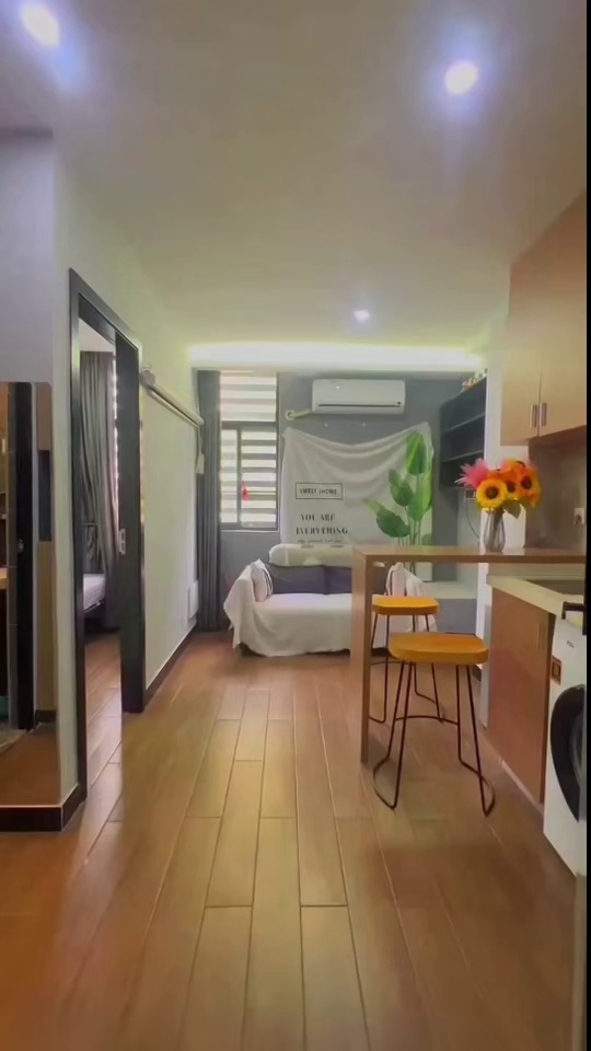 盛大百货附近一房一厅 1550