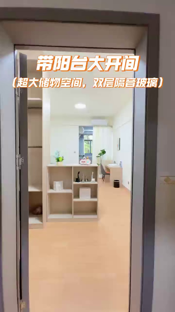 近惠科 汇邦名都附近 电梯大单间2080