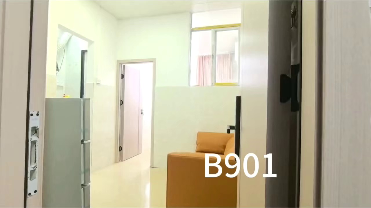 长龙地铁站A口大靓村电梯房大单间1850