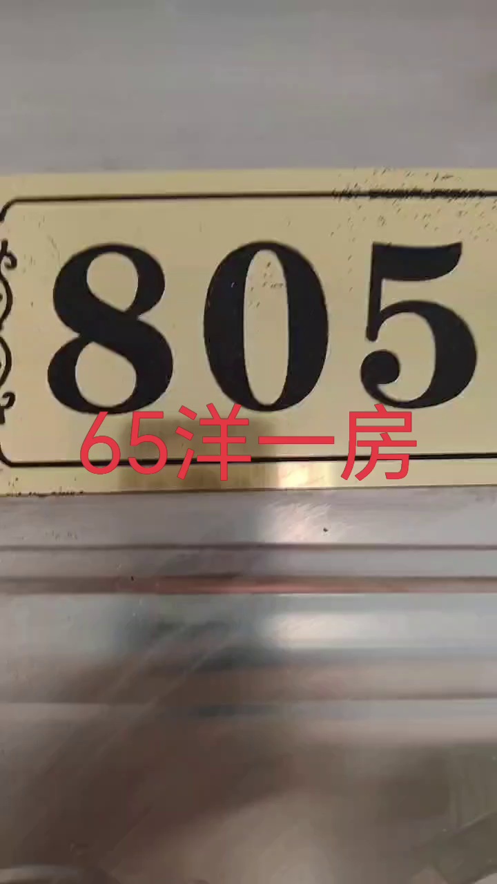 松岗楼岗北电梯房高楼层一房一厅独立阳台家电家具天燃气齐全1400￥