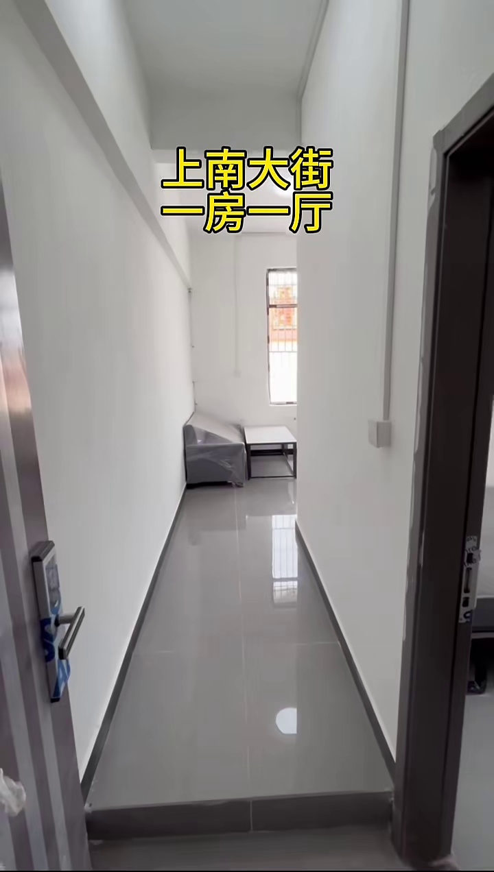 上南大街-精装一房一厅