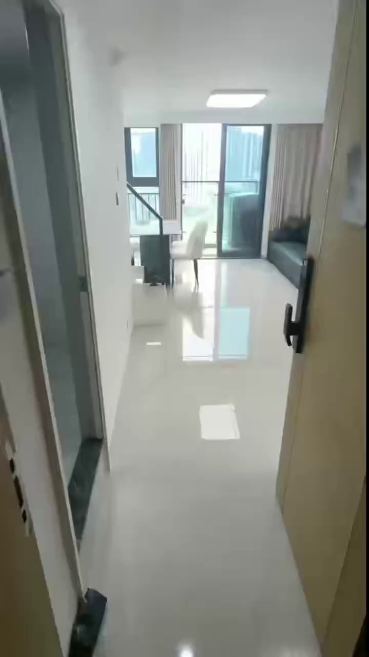 公明钟表基地/loft湖景复式 两房两卫2500