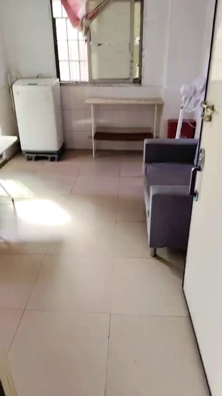 大浪南路 江南百货 河背新村 六一小学 电梯一房一厅1080包管理 押一付一民水民电