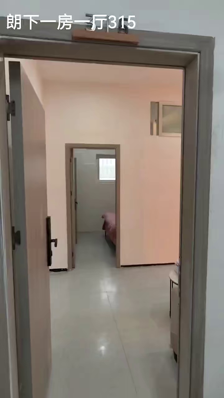 朗下电梯一房一厅