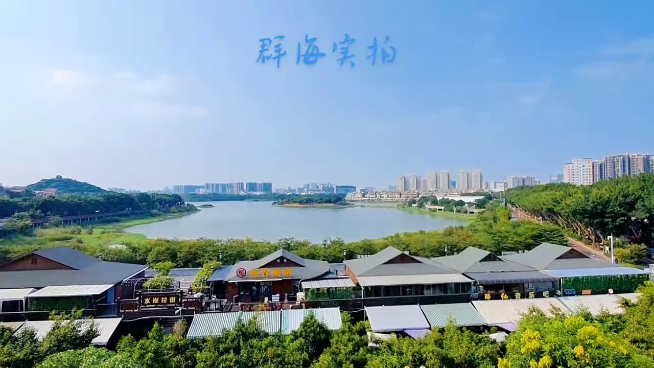 福永立新湖 湖景电梯 大单间1350