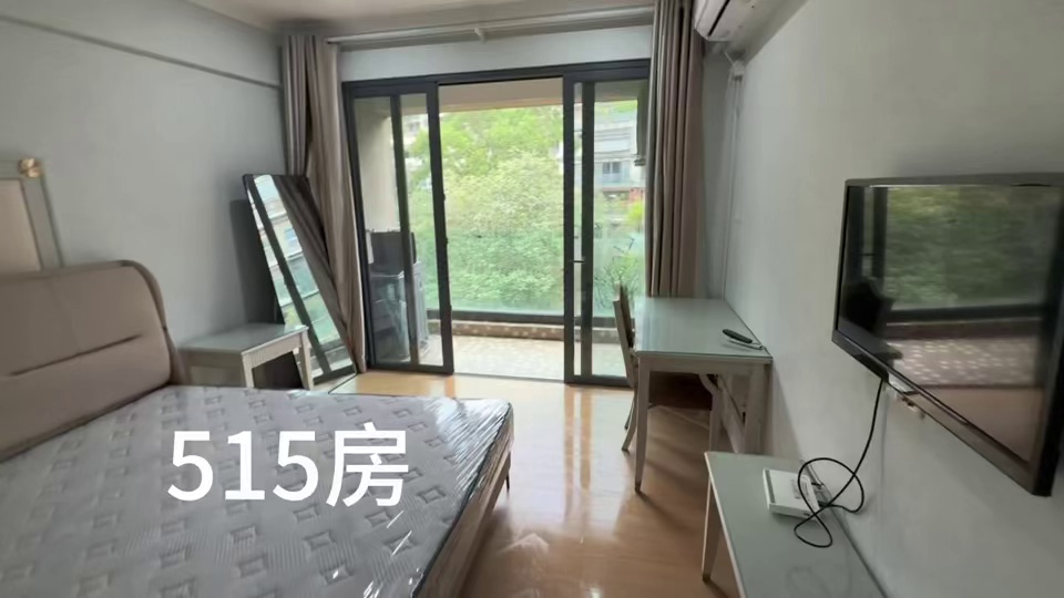 8号线盐田 海山 一房一厅 3180