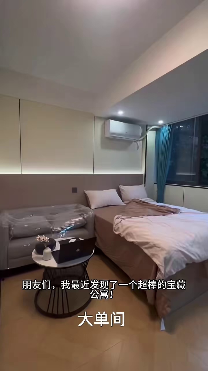 南山蛇口四海地铁站羚居公寓 精装 羚居公寓