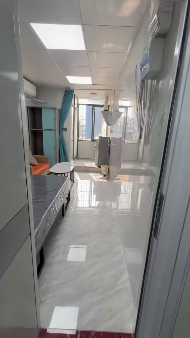 长龙 布吉 凯旋荟旁 电梯 高层 精装大单间 1700