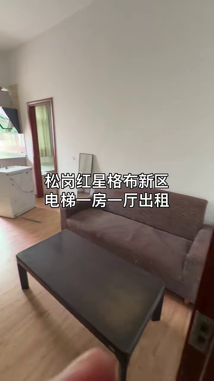 红星格布一房一厅1200(电梯）