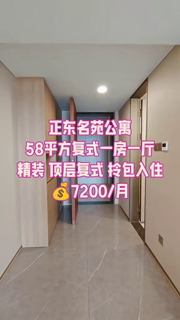 正东名苑公寓 58平方精装复式一房 顶层复式 拎包入住 7200/月