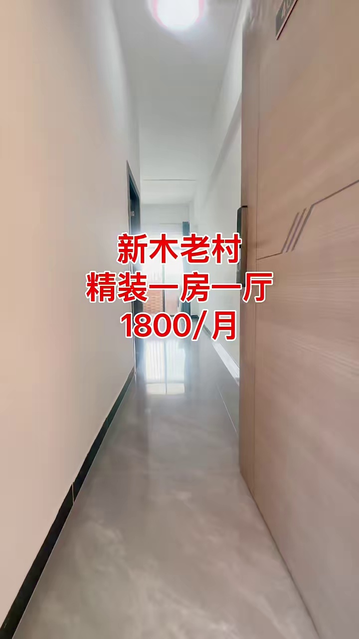 新木老村 精装一房一厅 近万达 步梯三楼 配套齐全 1800拎包入住