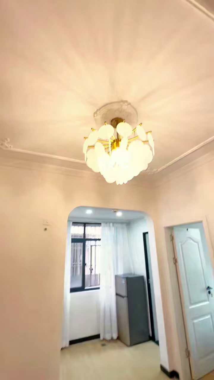 民治大润发附近 原木装修风格 2580/月
