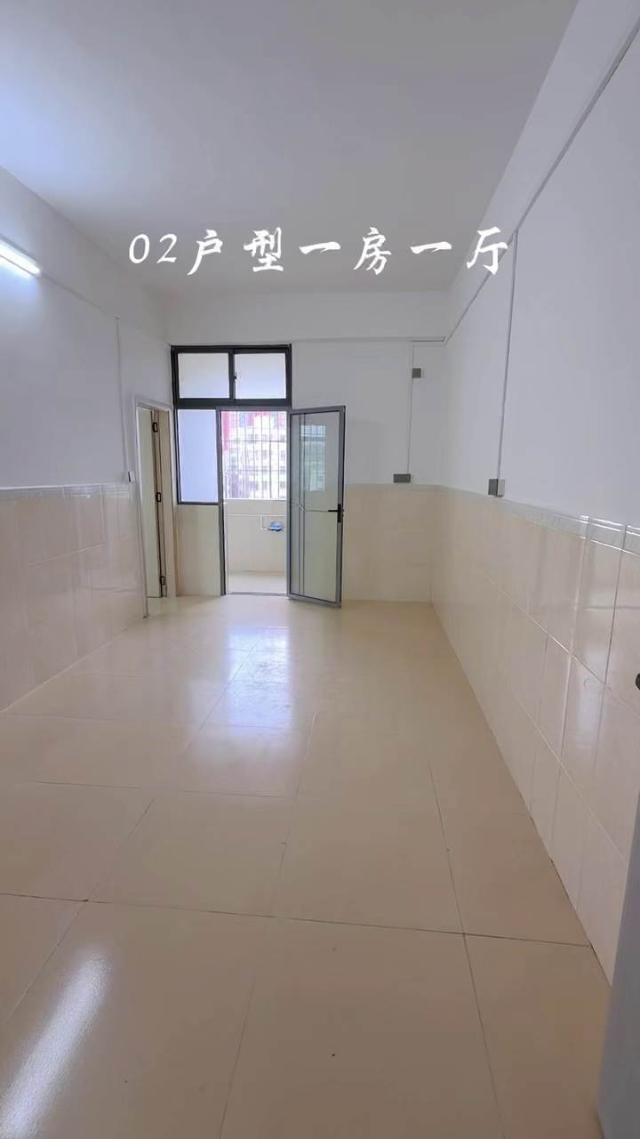 龙东 新塘围 梨园 建文小学 中心医院 电梯一房一厅 1000