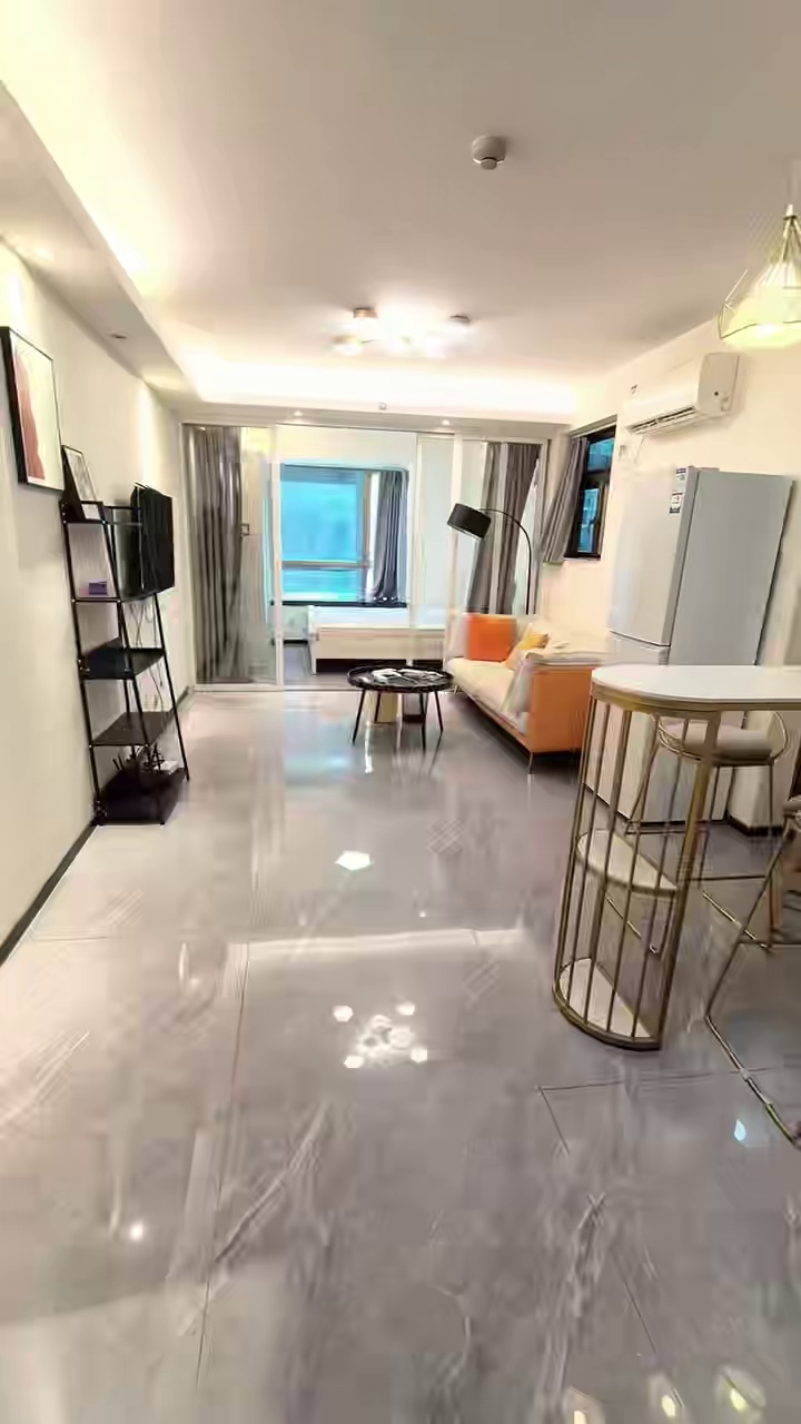 城市天地，朝南一房一厅，轻奢现代风，仅租4800