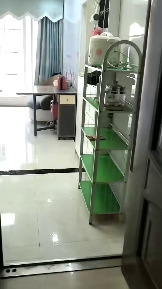 租，大浪黄麻埔精装两房一厅，家私家电齐全，电梯中高楼层采光好，1999一月！