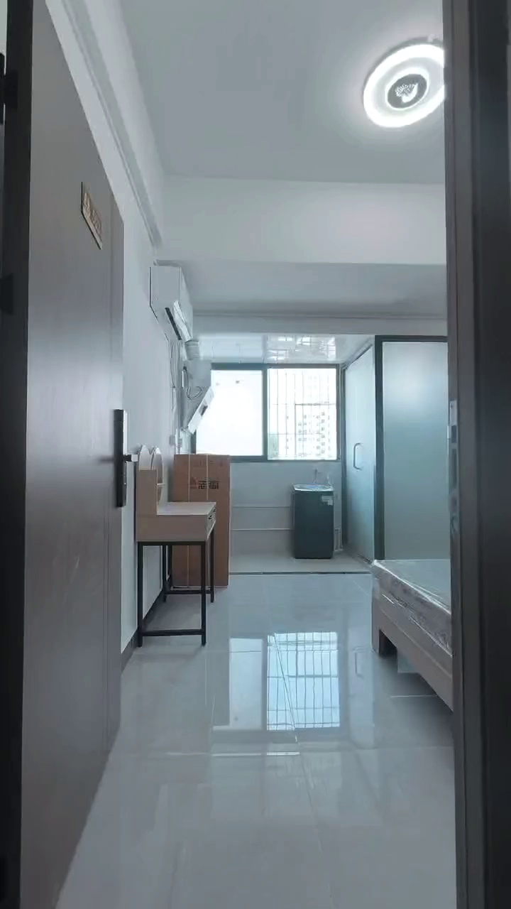 牛湖地铁站，电梯精装大单间1380。