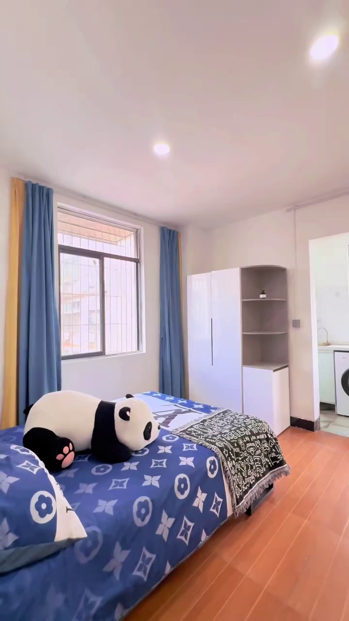3号线龙城地铁站 500米 简约风 近万汇大厦，万科金地 温馨阳光单间 只要1000