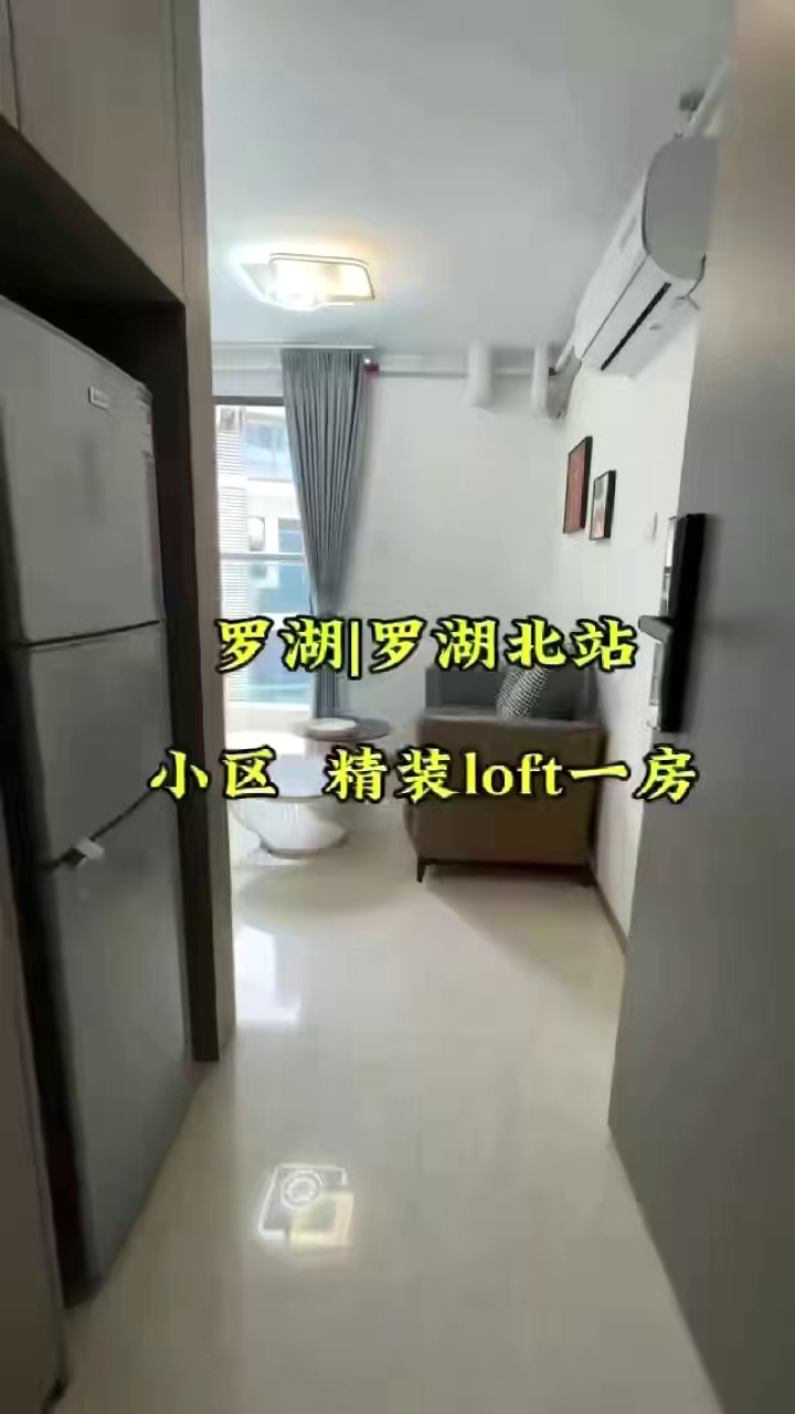 罗湖北 电梯一房一厅 3000 停车月卡