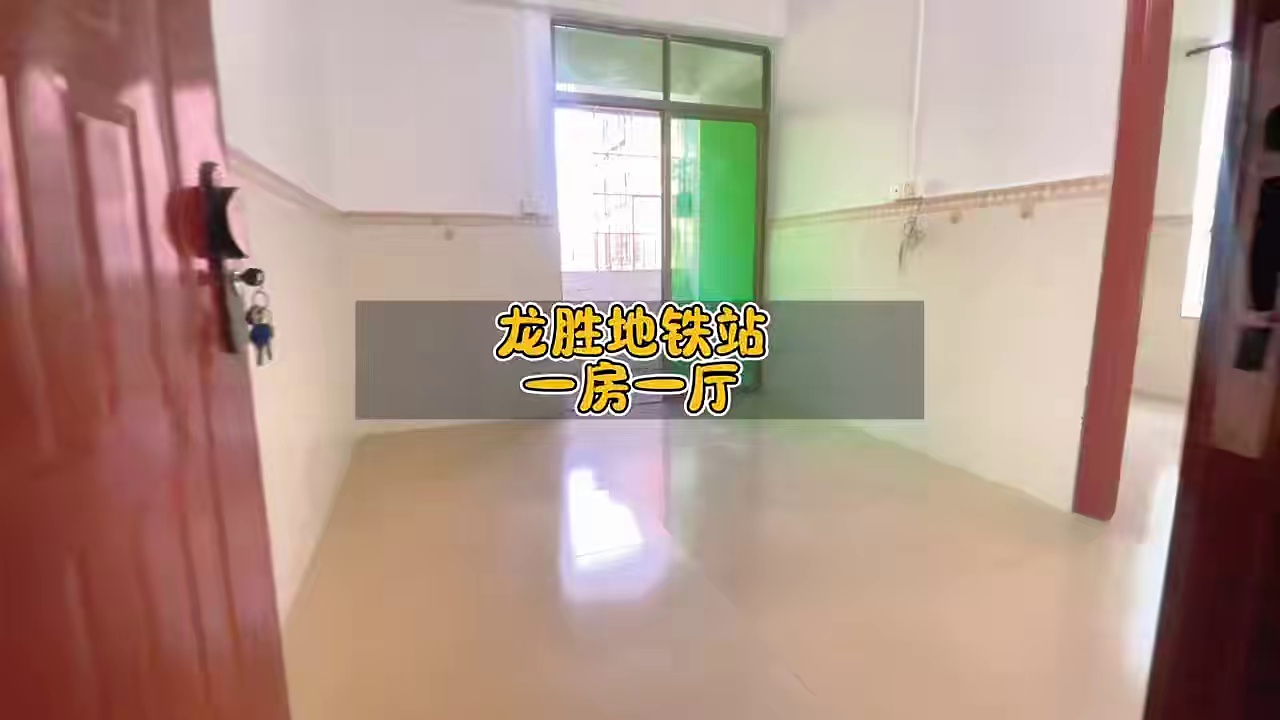 龙胜地铁站 龙胜新村 电梯一房一厅2050商业中心附近 近金盈新村 精装大单间1000起 电梯房 房东直租