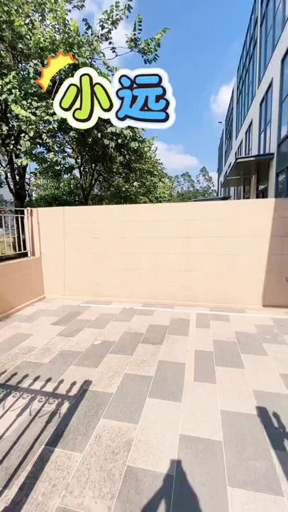 安良小区两房一厅 2800 独立院子，可养宠物