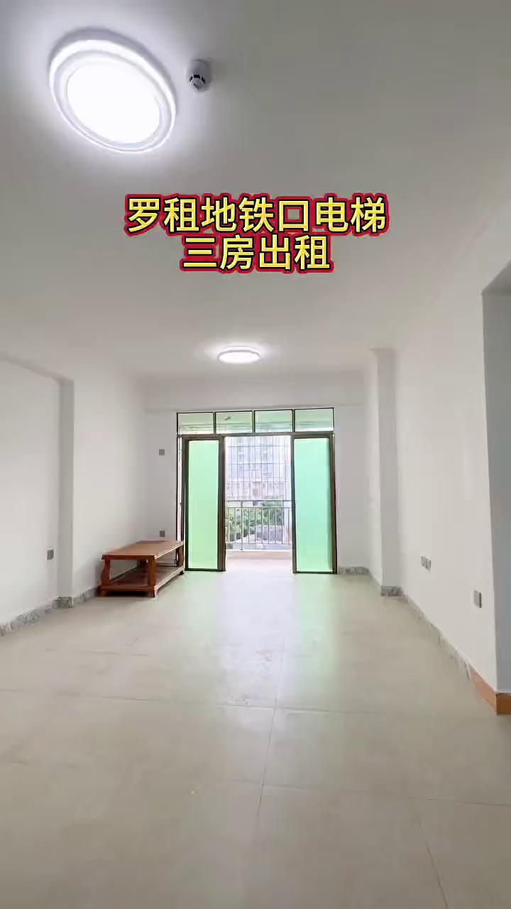 罗租地铁口 电梯三房一厅3000