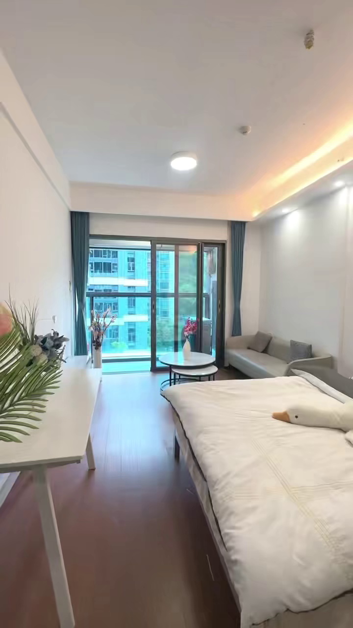 3/5号线水贝布心 天河城 电梯小区 带阳台一房 4000左右