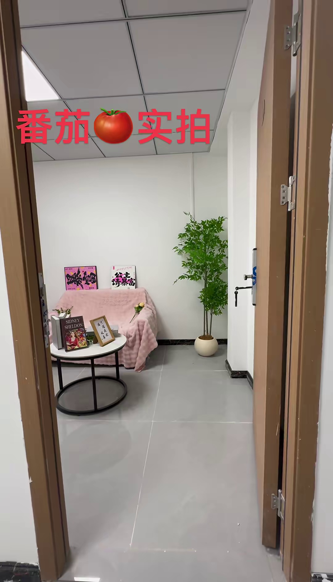 新桥洋下电梯大单间1280