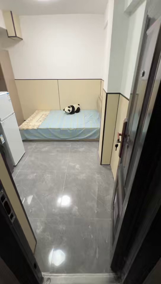 桃园地铁站，精装大单间3100