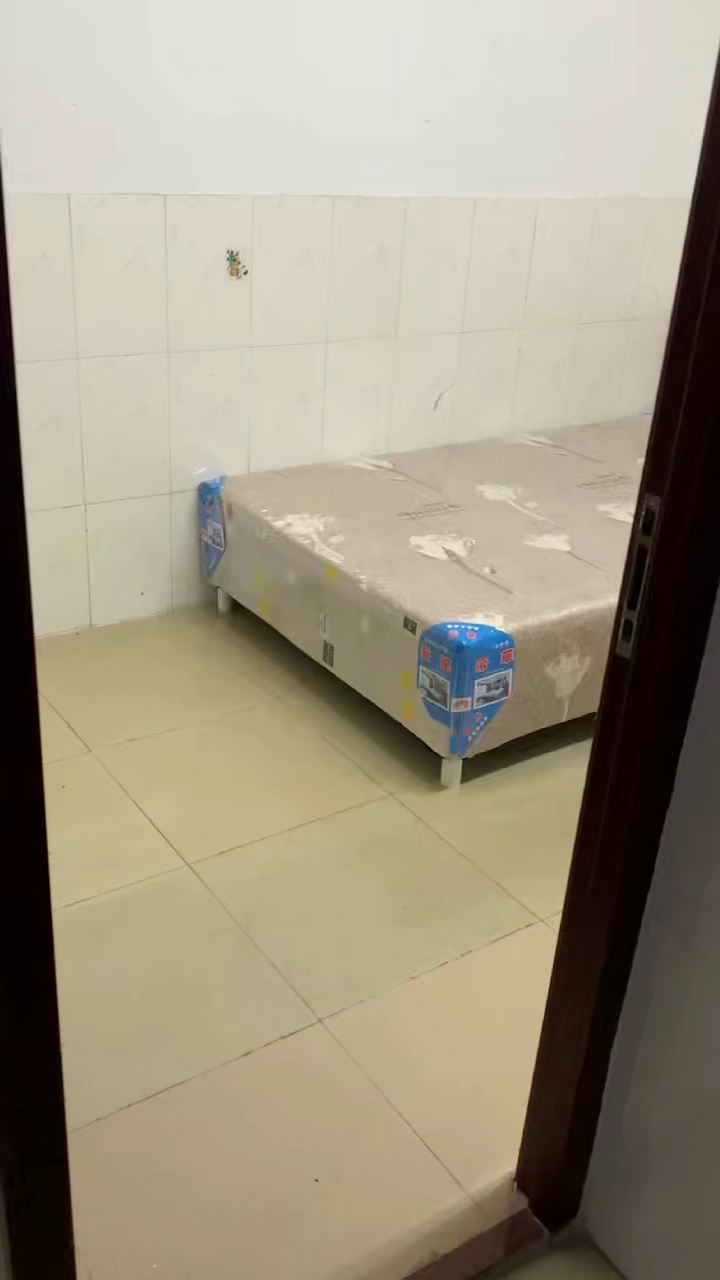 民治向南新村，电梯单间，特价1100 押一付一，近 深宝茂 宝山时代