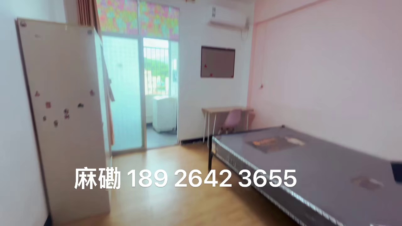西丽 麻磡村 精装大单间 电梯房高层