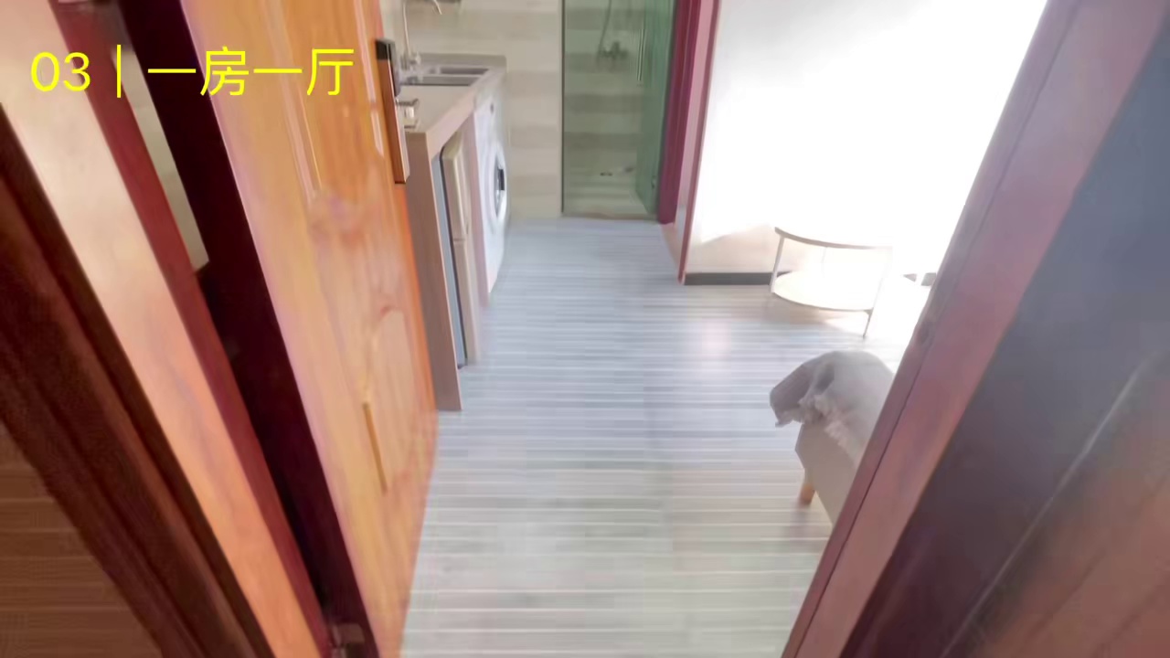 5号线洪浪北地铁口附近阳光一房一厅2580