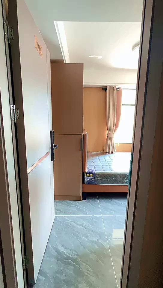仙湖路地铁口 电梯房2100