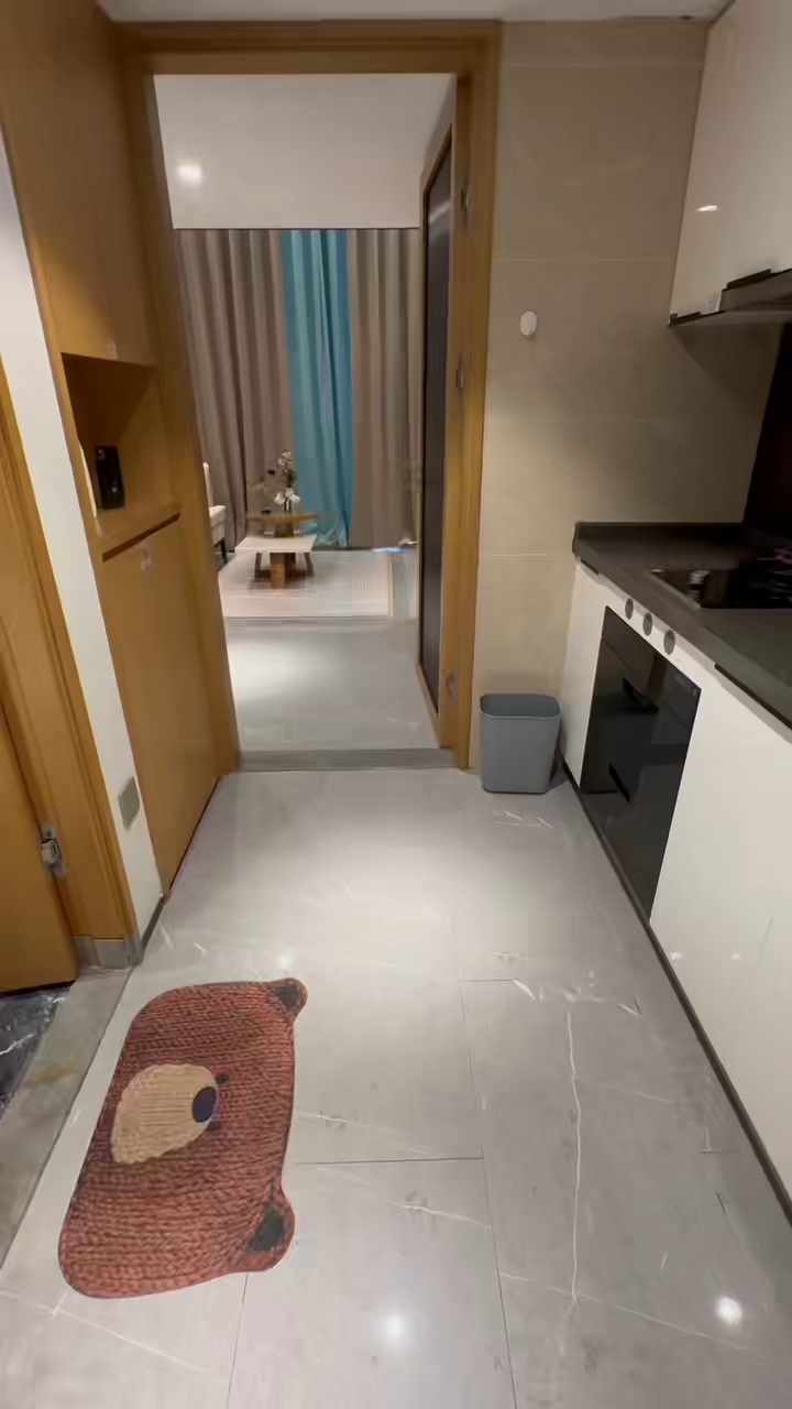 国贸 汇金天朗 复式 2 房 6800