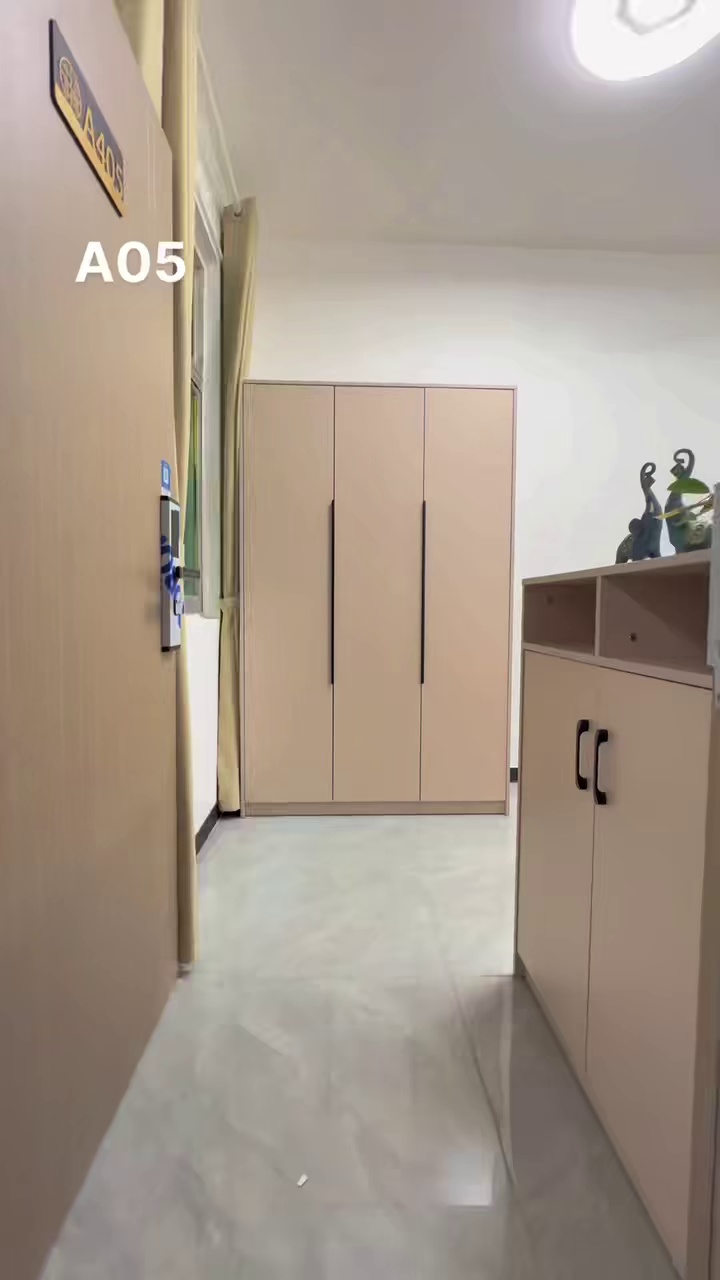 长龙 布吉 凯旋荟旁 精装大单间 1700