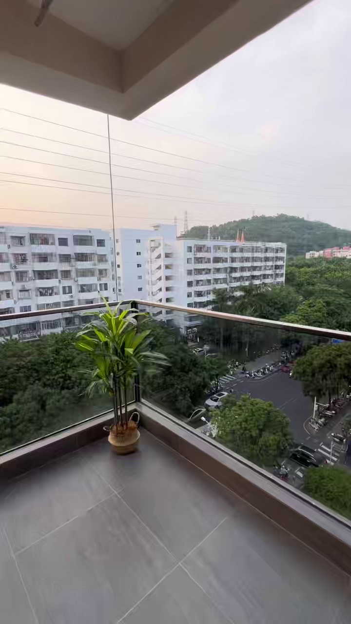 5 号线兴东-洪浪北双地铁电梯高层隔断式一房一厅，3000 上下