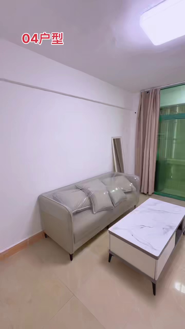 新洲北村电梯一房一厅3380