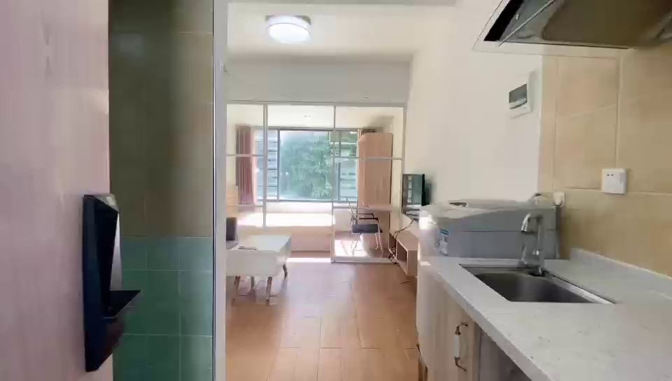 洪湖一房一厅3200