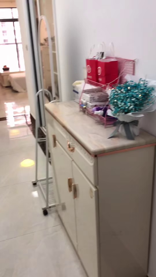 清湖地铁站小区一房一厅3600