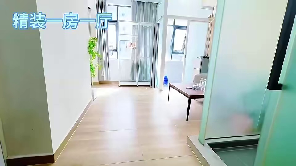 电梯一房一厅，12号线流塘站 2780