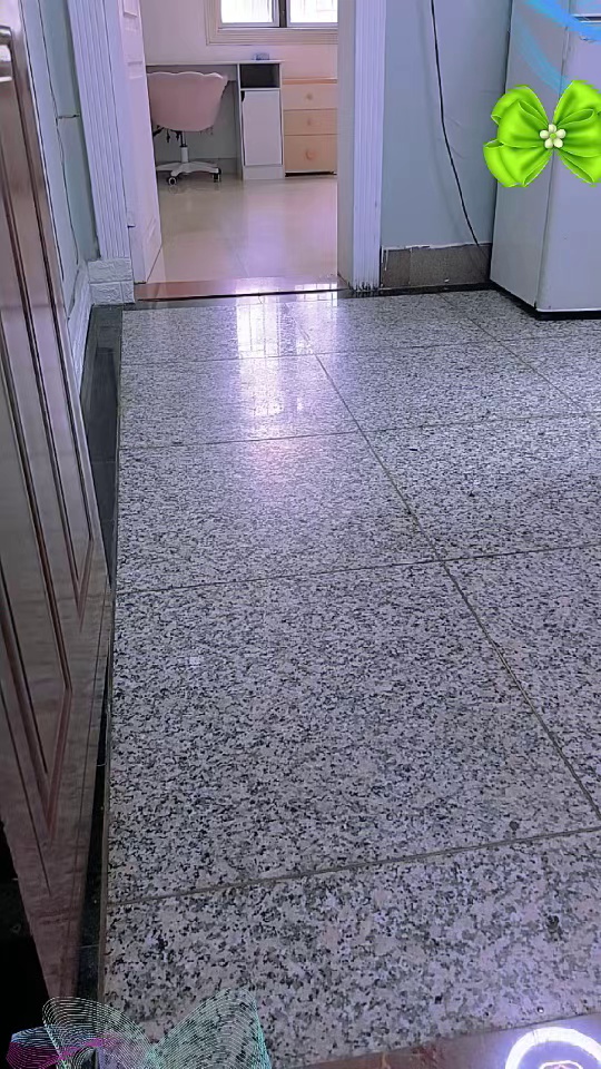 红岭2500