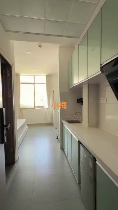 丹竹头地铁站 沙塘布 采光大单间1380
