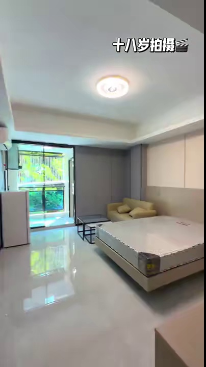 坂田北 贝尔路 电梯精装阳台大单间 手快有 空间大光线好
