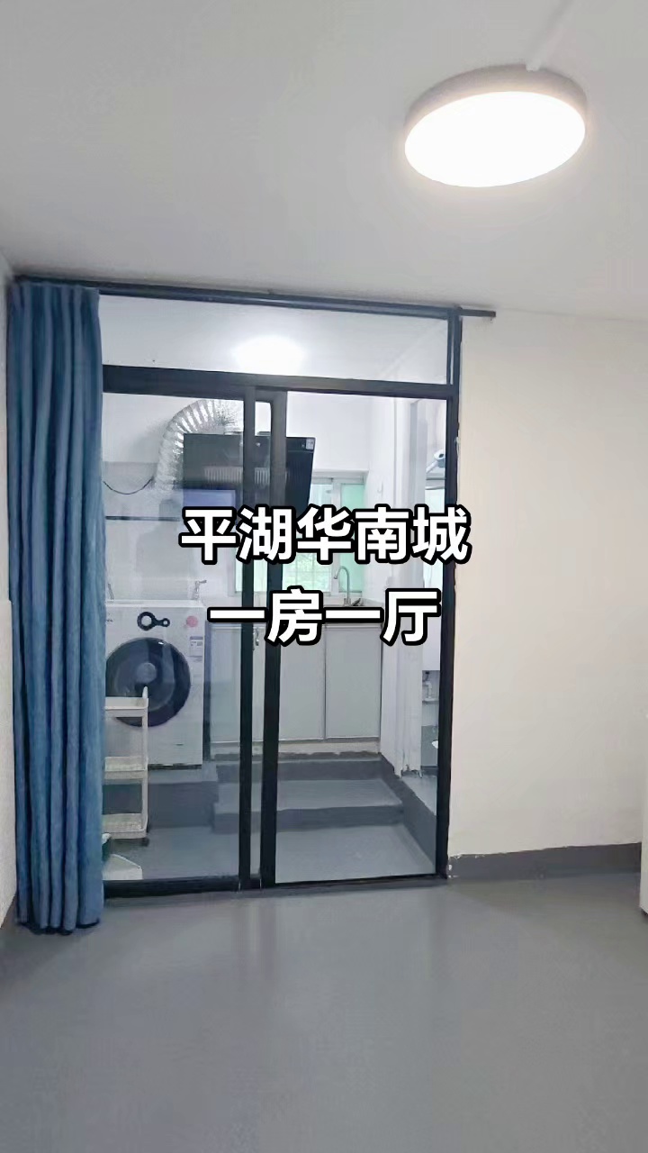 近华南城，禾花地铁口，海源城零距离，一房一厅1550