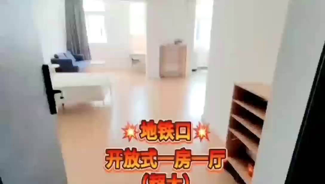 雪象地铁 开放式一房一厅 3680